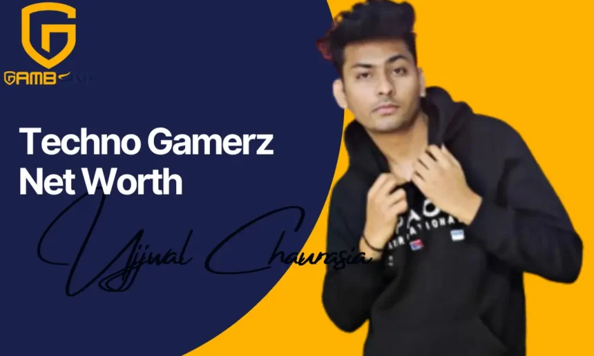 Techno Gamerz Net Worth