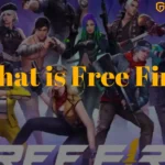 What is Free Fire