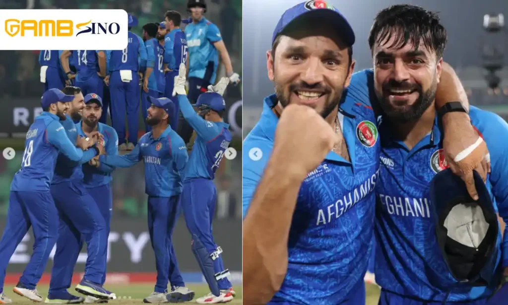 Rashid Khan Match Record