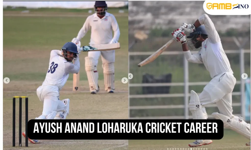 Ayush Anand Loharuka Career Journey